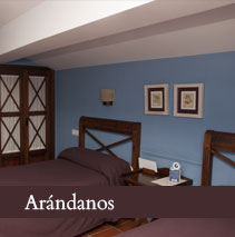 Arandanos