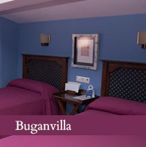 Buganvilla