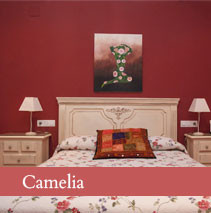 Habitación casa rural Camelia